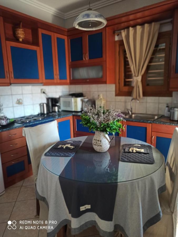 Athena'S Luxury Place Agria Exterior foto